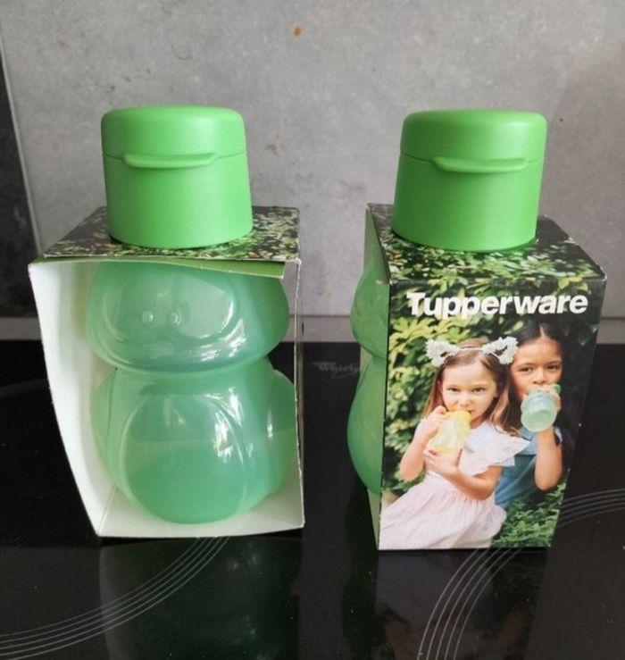 2 X gourde Eco bouteille tupperware