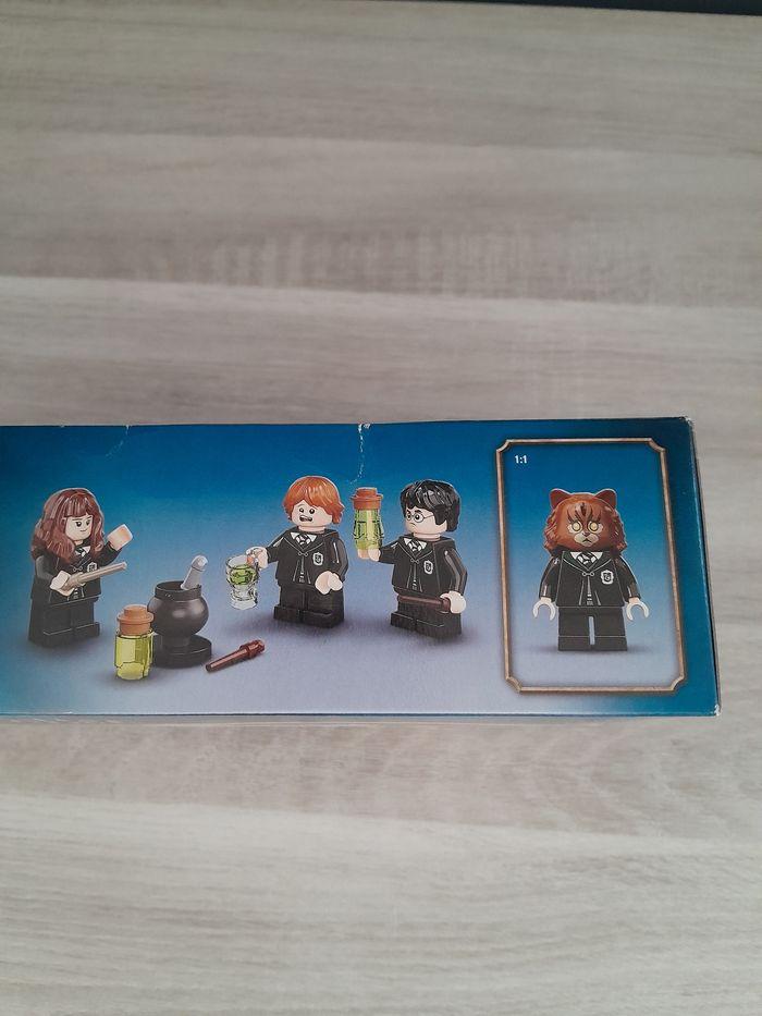 LEGO Harry Potter 76386 - photo numéro 4