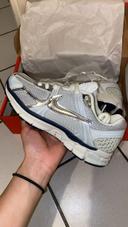 Nike vomero 5 metalic Silver