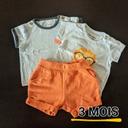 Lot t-shirt/short bébé