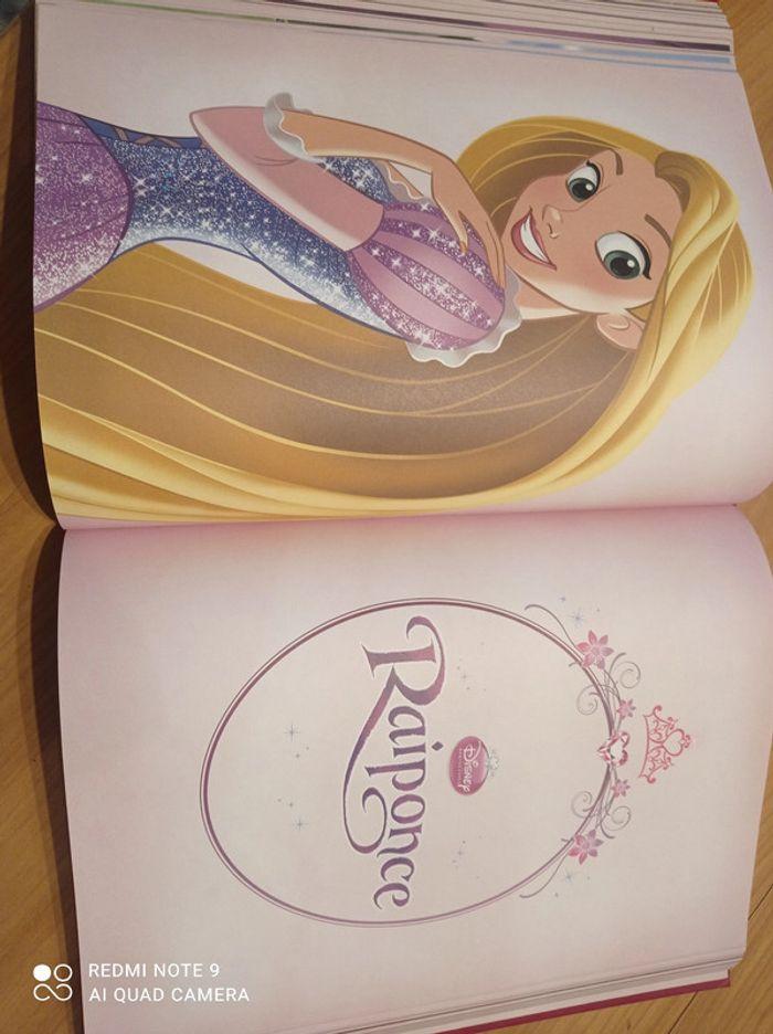 Livre princesses disney - photo numéro 6