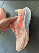 Nike pegasus trail femme