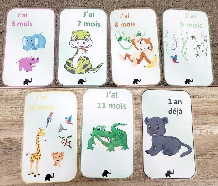 Cartes étapes Jungle pour bébé - photo numéro 4