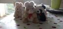 Lot de peluches