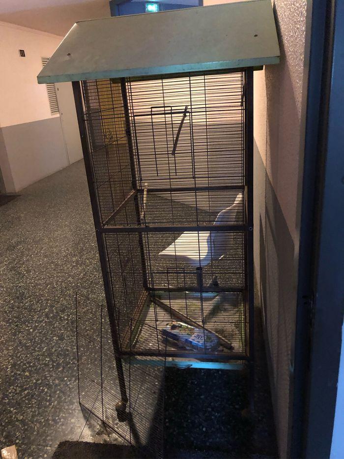 Cage à oiseaux - photo numéro 2