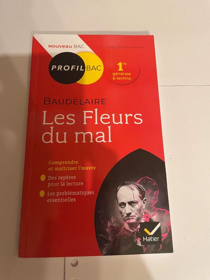 LIvre profil Bac - photo numéro 1