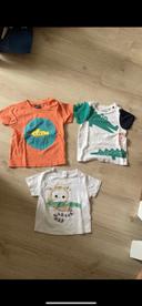 Lot de 3 tee shirt manche courte 24 mois