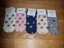 5 paires de chaussettes mon voisin totoro 35/40