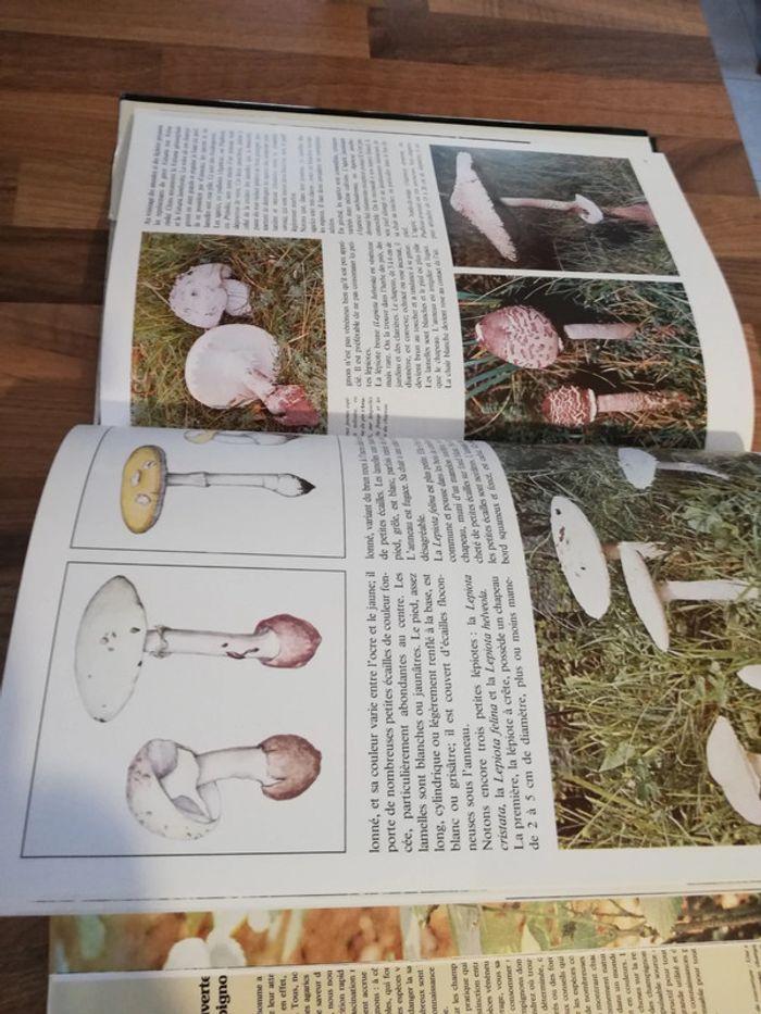 Livre à la découverte des champignons 📚 - photo numéro 5