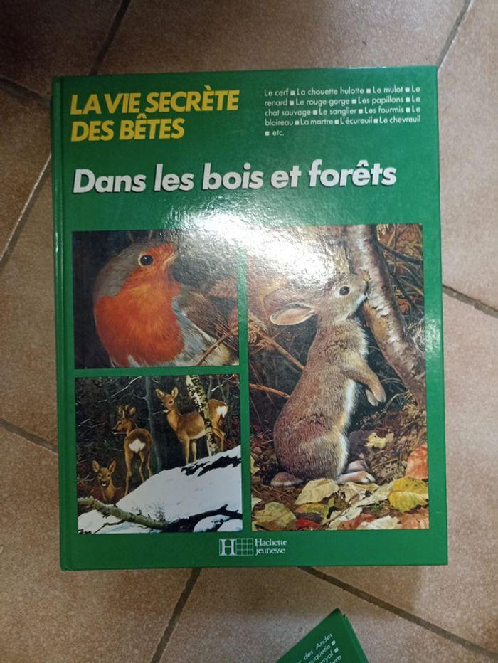 Livre sur les animaux - photo numéro 3