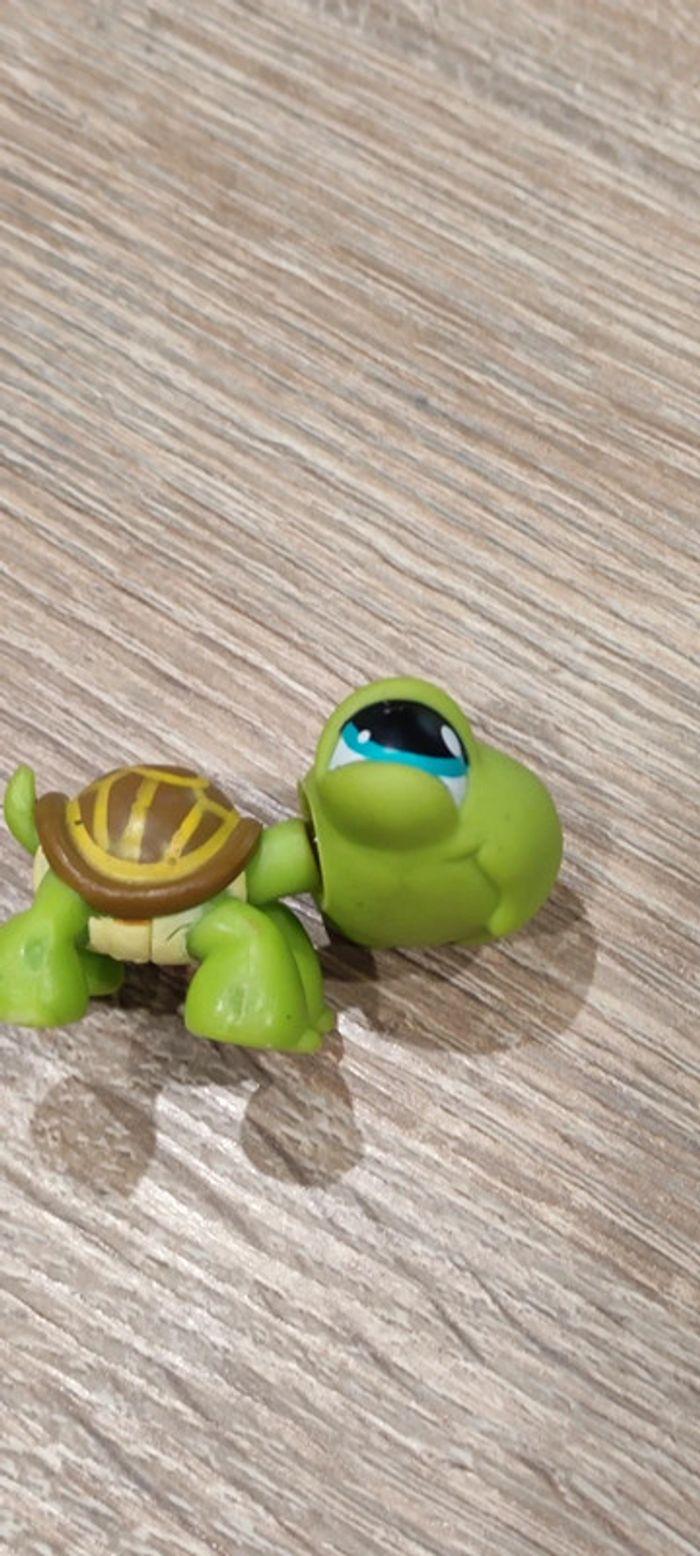 Tortue Littlest Pet Shop - photo numéro 6