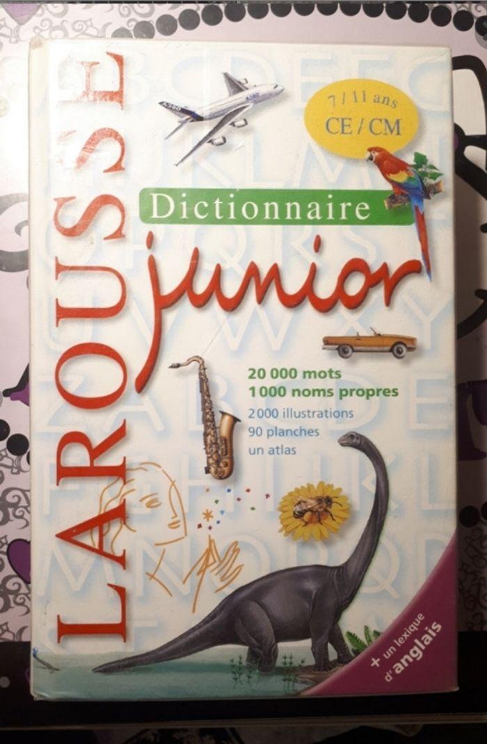 Dictionnaire - photo numéro 1