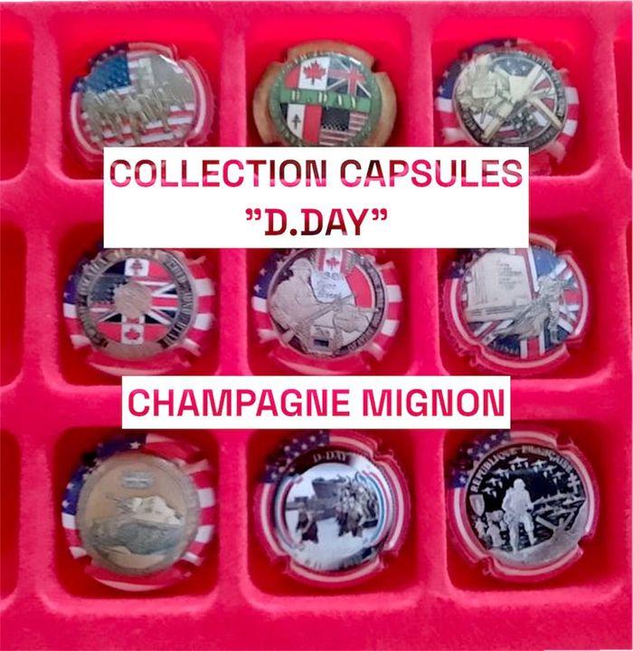 Superbe série capsules D.Day Champagne Mignon 🪖 - photo numéro 1