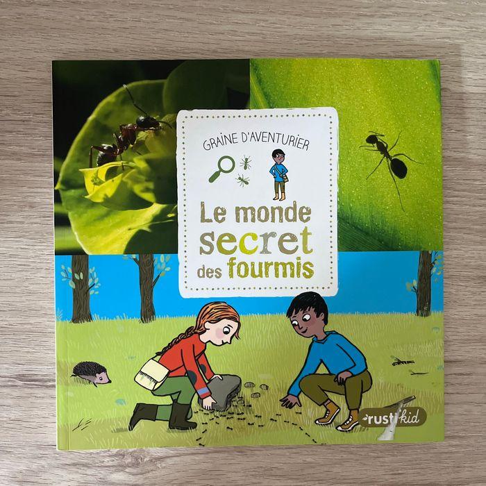 Le monde secret des fourmis