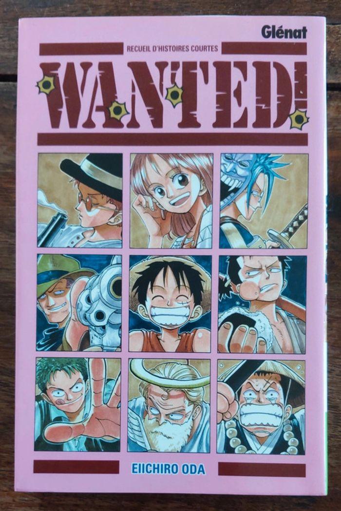 One Piece Wanted - photo numéro 1