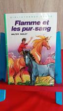 Flamme et les pur-sang, 1983, bibliothèque verte