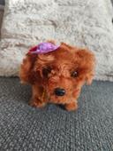 Peluche chien