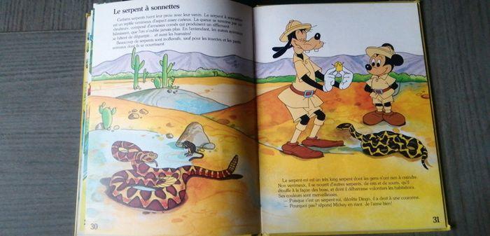 Lot livres Walt Disney - photo numéro 9