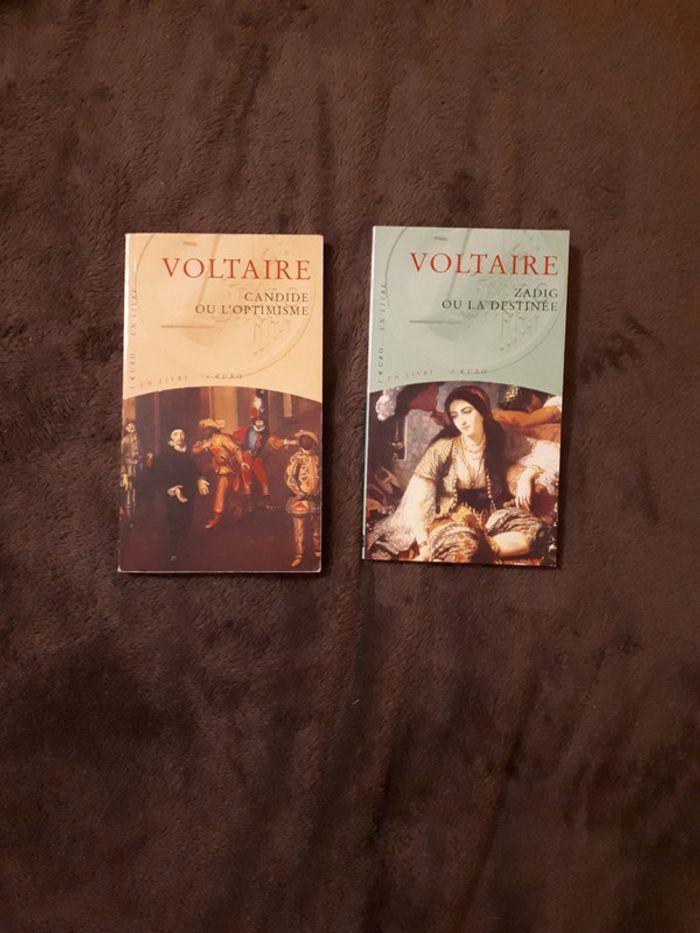 Lot 2 livres de Voltaire, Zadig ou la destinée, Candide ou l'optimiste - photo numéro 1