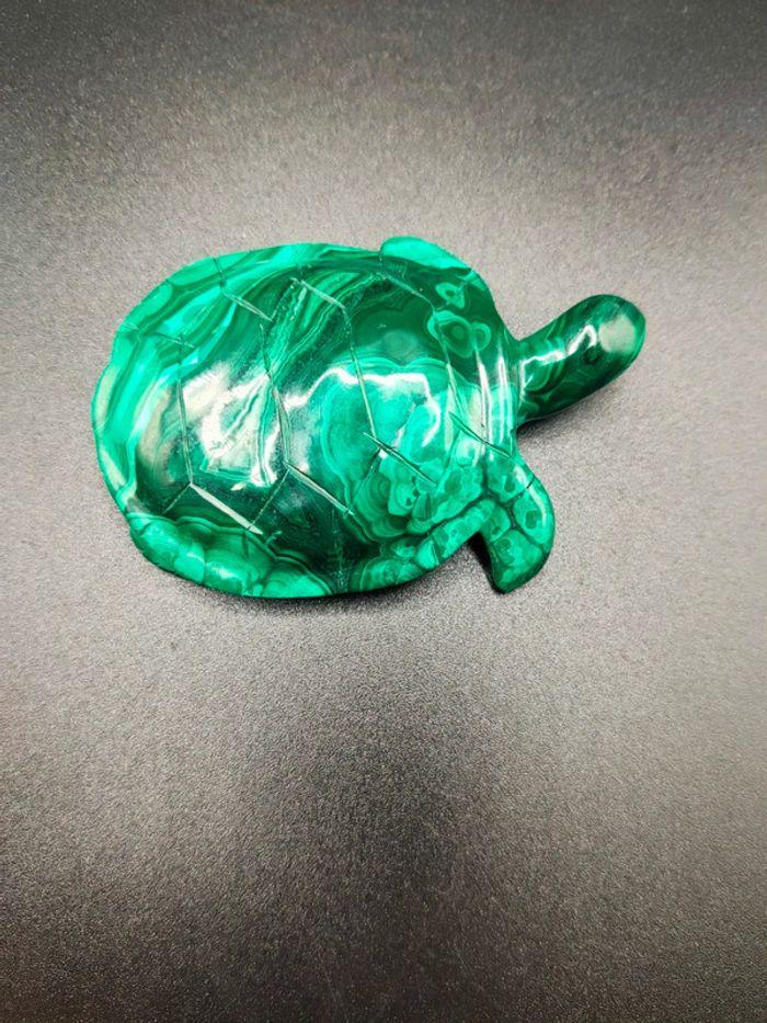 Tortue en Malachite - photo numéro 3