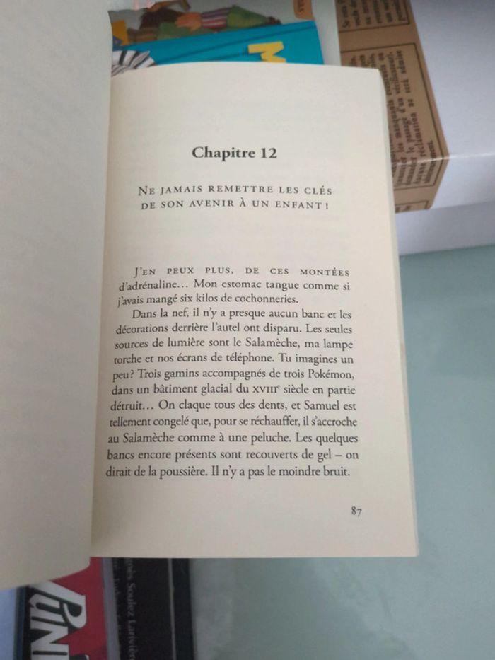 Livre le dernier maître pokémon - photo numéro 7