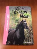 Le fils de l’étalon noir