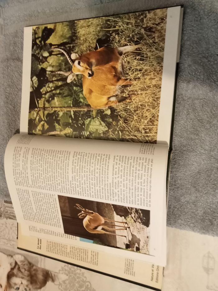 Livre le monde des animaux - photo numéro 2