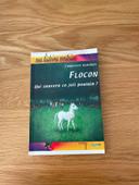 Flocon