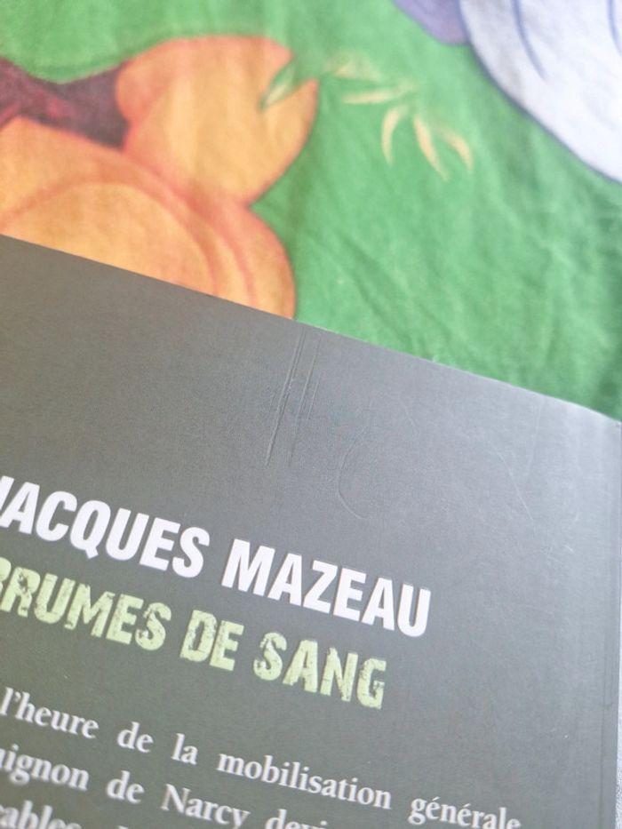 Brumes de sang - photo numéro 3