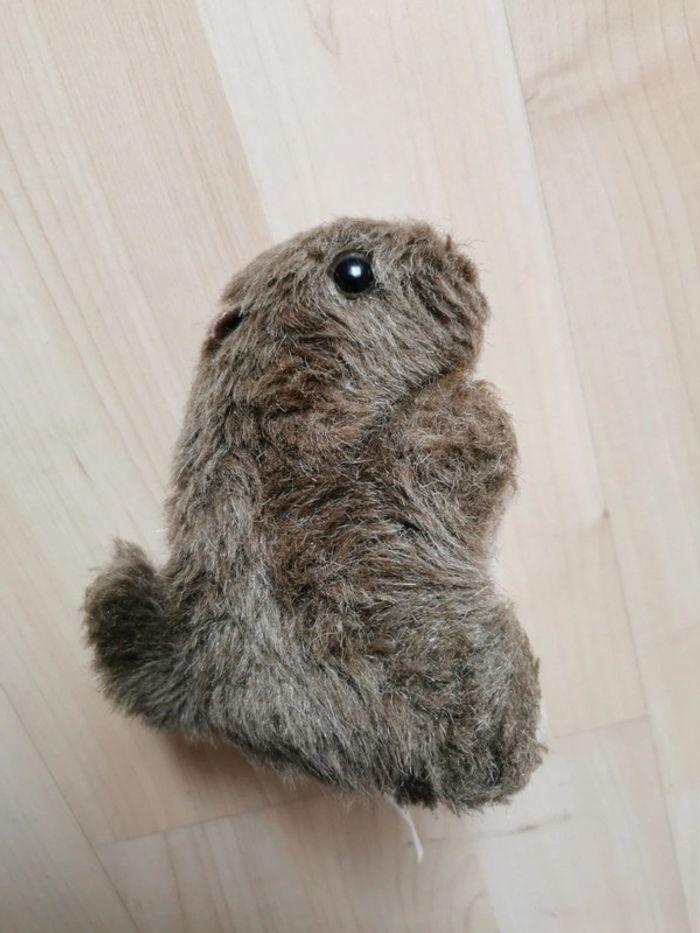 Peluche marmotte - photo numéro 1