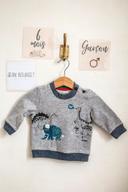 Sweat gris dino, Jean Bourget, 6 mois