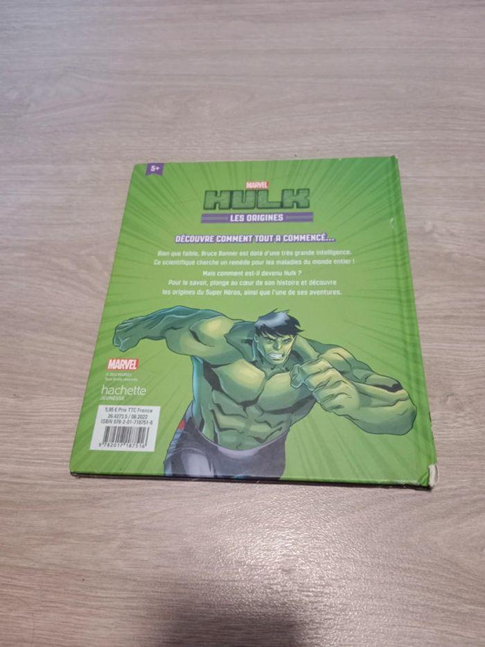 Hulk les origines - photo numéro 3