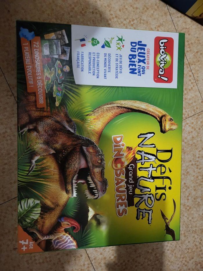 Jeux sur les dinosaure - photo numéro 2