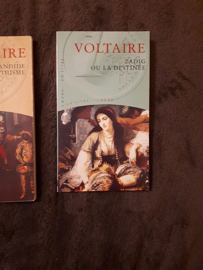 Lot 2 livres de Voltaire, Zadig ou la destinée, Candide ou l'optimiste - photo numéro 3