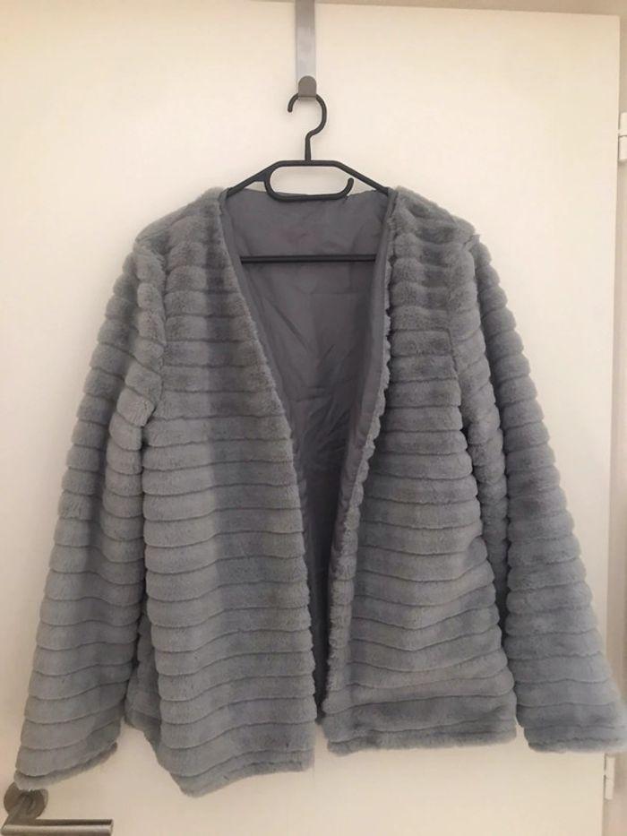 Gilet / veste fourrure  gris - photo numéro 1