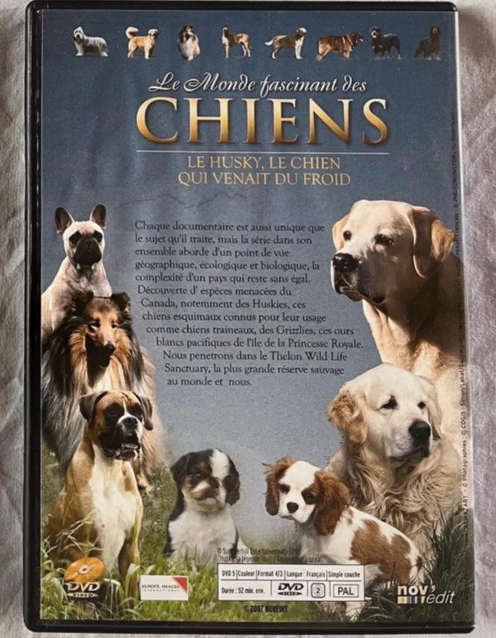 DVD "Le Monde fascinant des Chiens - Volume 5 : Le Husky, la légende Inuit" - photo numéro 3