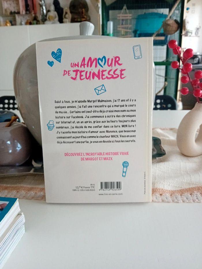 Livre Un amour de jeunesse - photo numéro 2