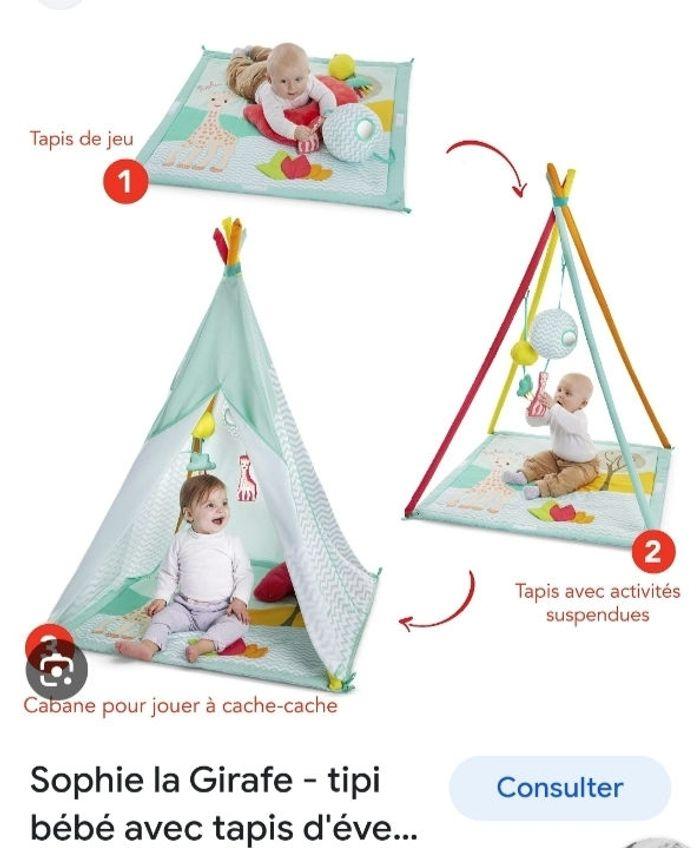 Tapis tipi