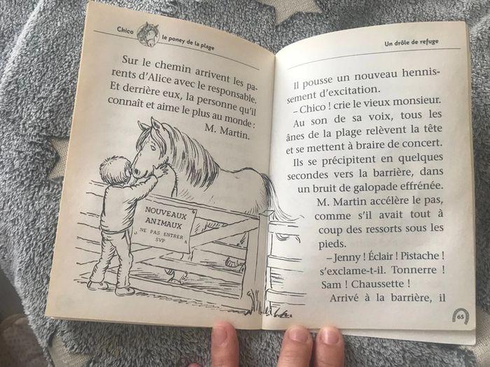 Chico le poney de la plage - photo numéro 3