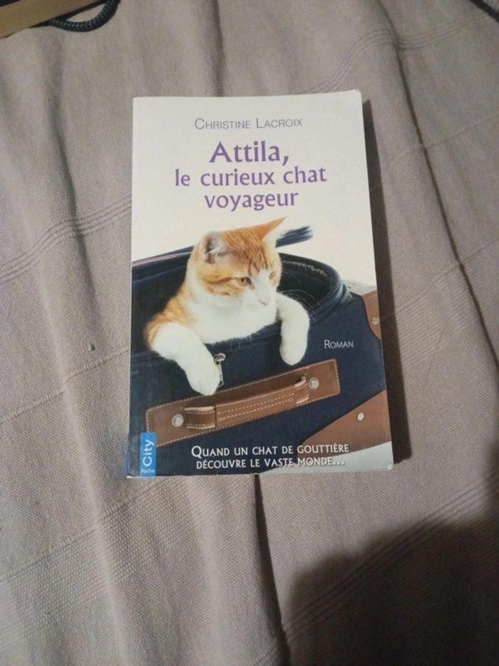 Livre Attila - photo numéro 1