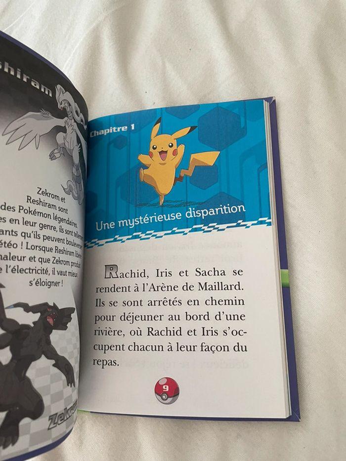 Livre Pokémon - photo numéro 3