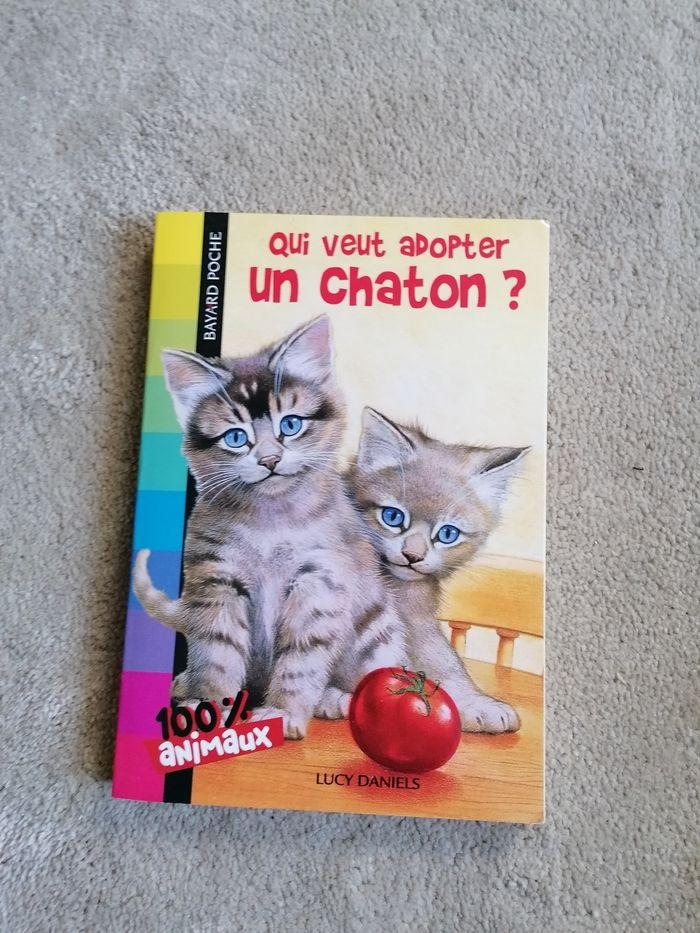 Qui veut adopter un chaton ? - photo numéro 1