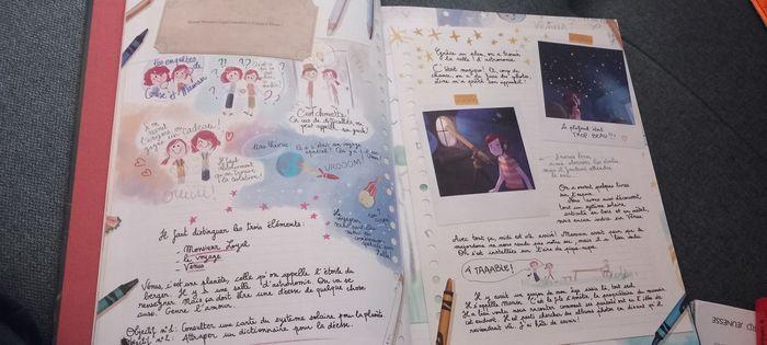 Bd les carnets de cerise la deese sans visage - photo numéro 7