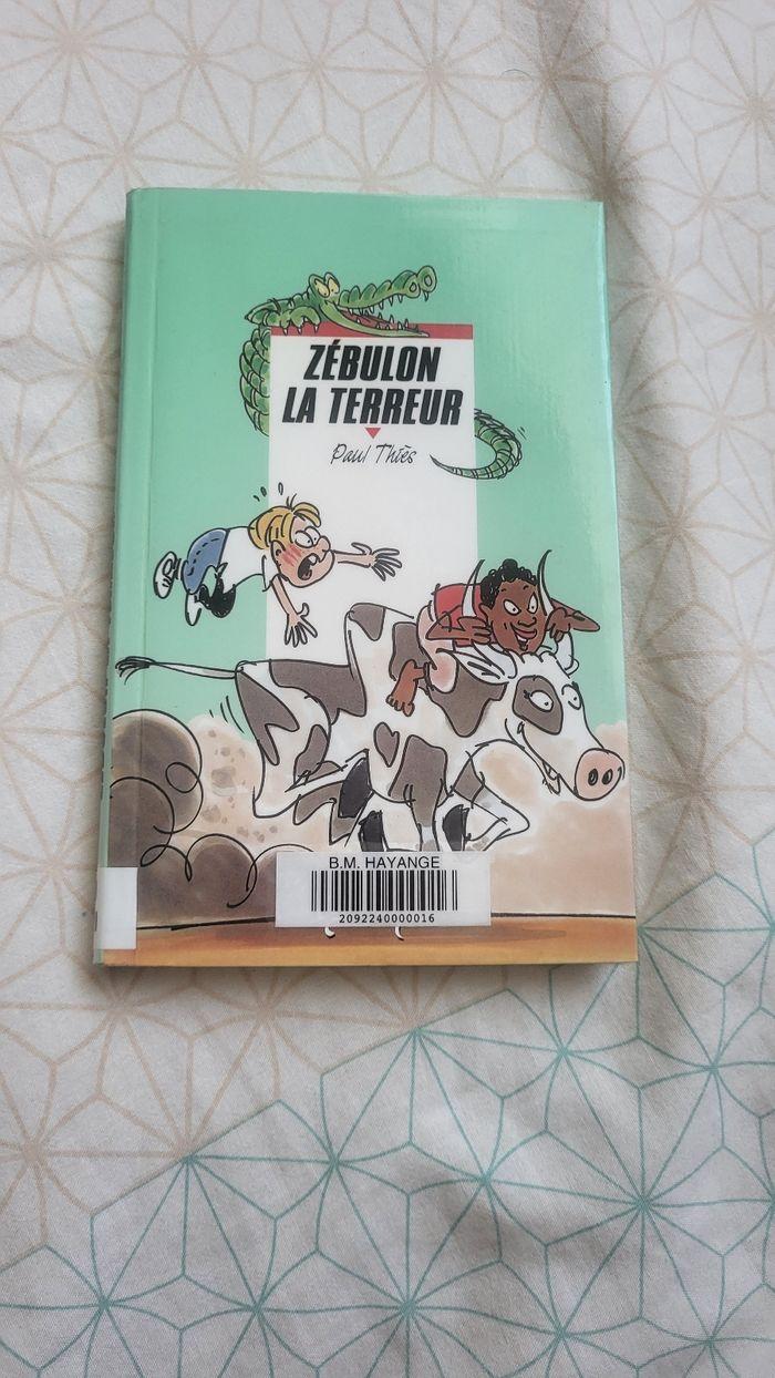 livre zébulon la terreur - photo numéro 1