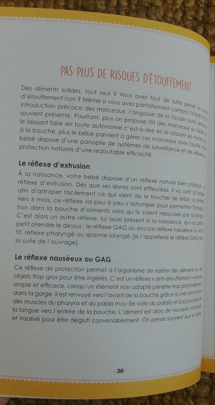 Le Grand livre de la DME (Diversification Menée par l'Enfant pas à pas) (2020) - photo numéro 11