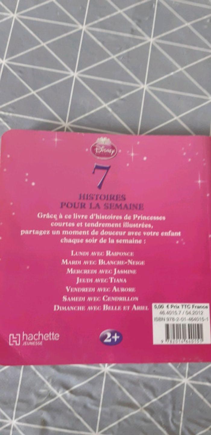 Livre princesse - photo numéro 2