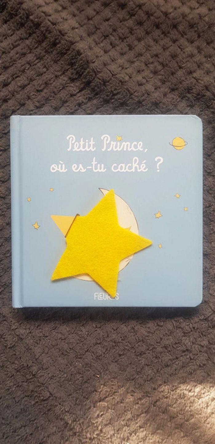 Petit Prince, où es-tu caché ? - photo numéro 1