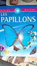 Livre documentaire Les papillons