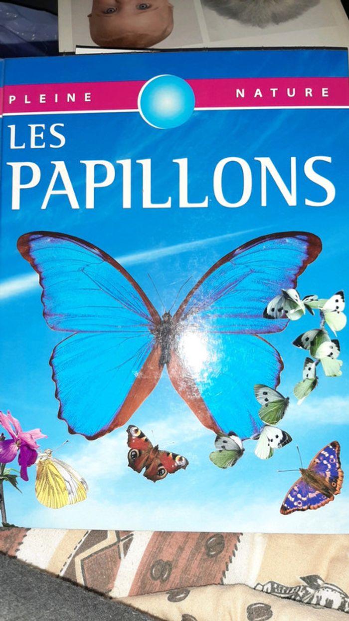 Livre documentaire Les papillons - photo numéro 1