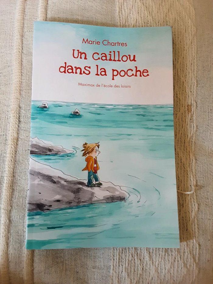 Un caillou dans la poche - photo numéro 1